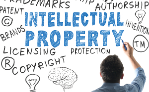 intellectual property